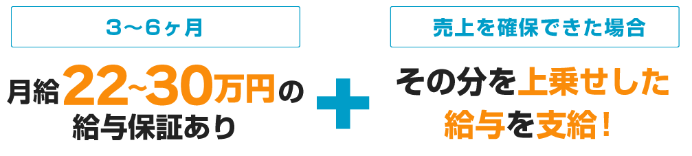 入社後6ヶ月は月給20万円給与保証あり+売上を確保できた場合その分を上乗せした給与を支給！